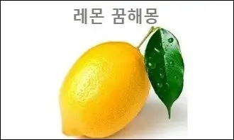 레몬 꿈해몽
