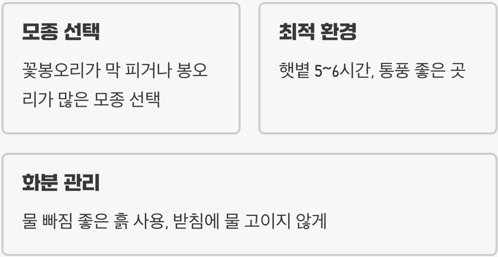 첫 만남&amp;#44; 건강한 모종과 올바른 자리 잡기