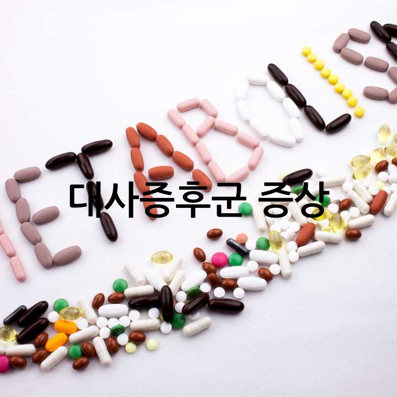 대사증후군 증상&amp;#44; 211 식단