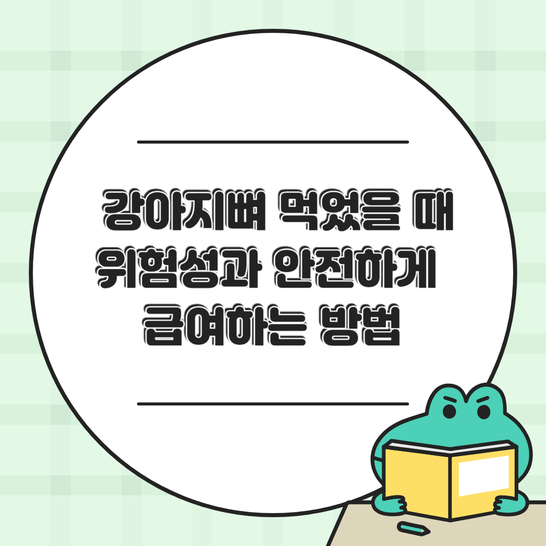 강아지 뼈간식, 뼈 먹었을 때위험성과 안전하게 급여하는 방법