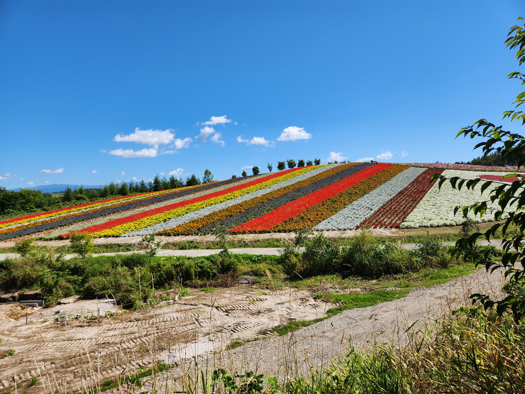 사계체 언덕 - 25