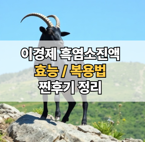 이경제-흑염소진액-효능-후기-복용법