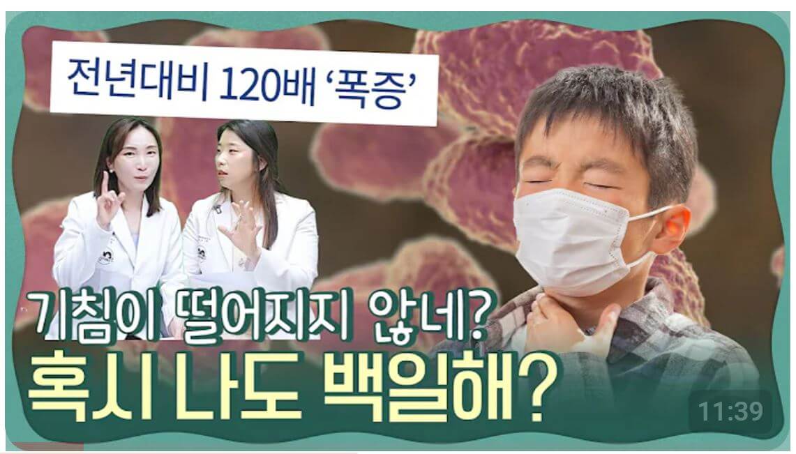 백일해 증상, 치료, 예방 유튜브 영상 바로가기