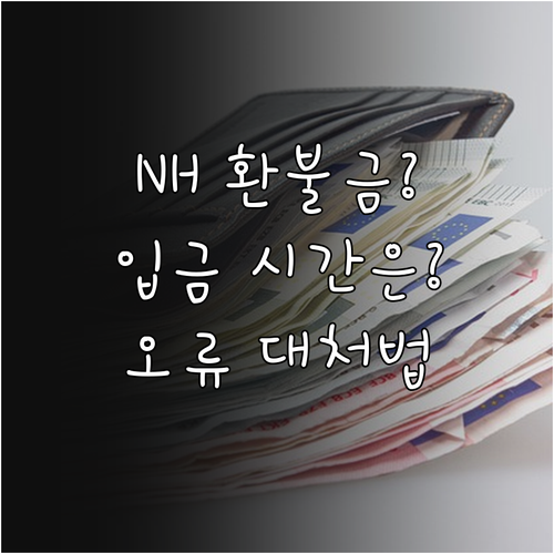 공모주 환불금 NH투자증권 입금 시간..
