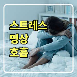 스트레스 관리와 마음 건강을 위한 명상과 호흡법