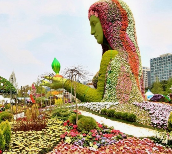 고양국제꽃박람회