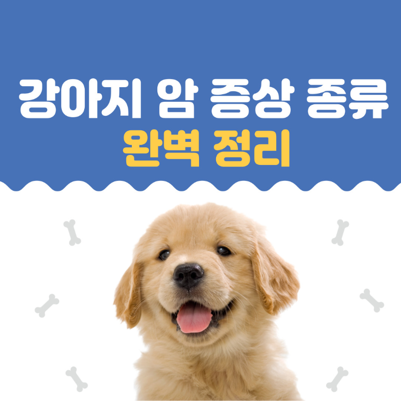 강아지 암