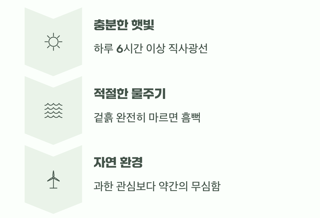 햇빛과 바람, 최고의 보약