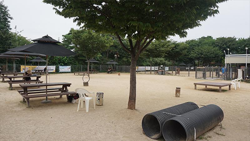 월드컵공원 반려견 놀이터