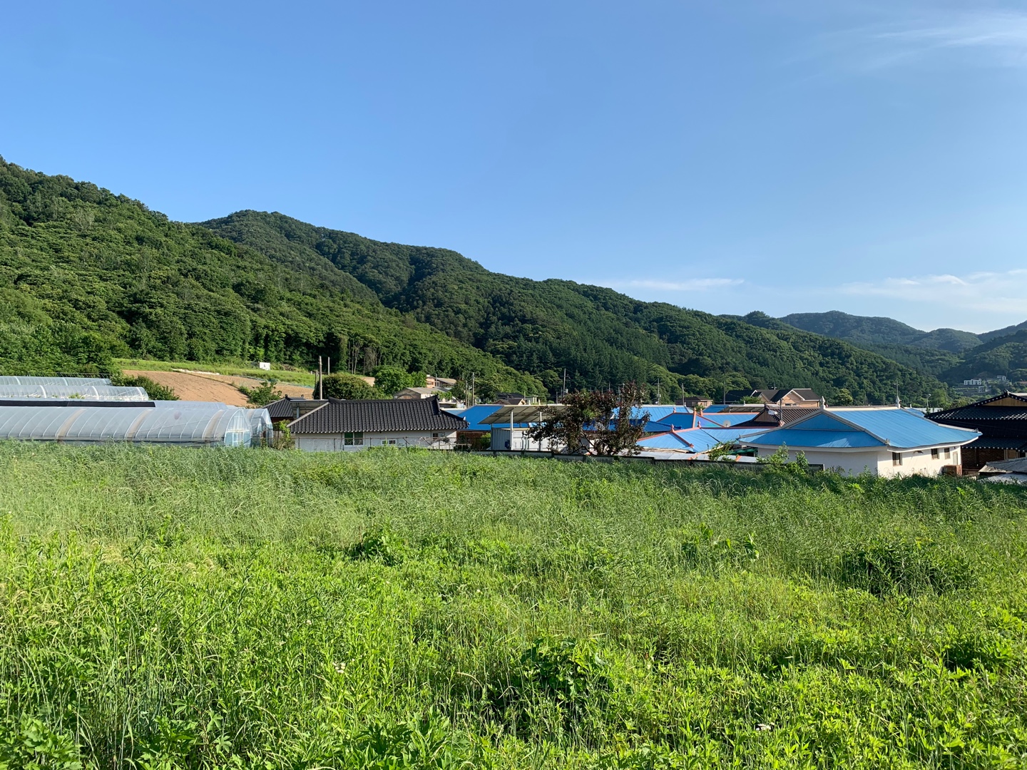 양평 시골풍경
