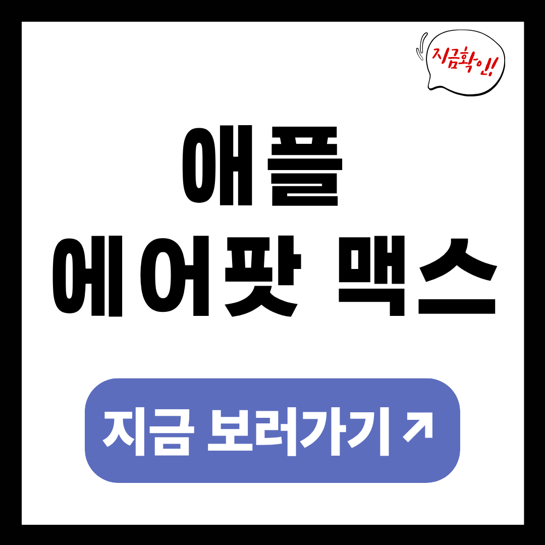 애플 에어팟 맥스