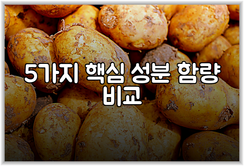 5가지 핵심 성분 함량 비교