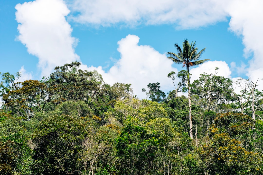 Living environment