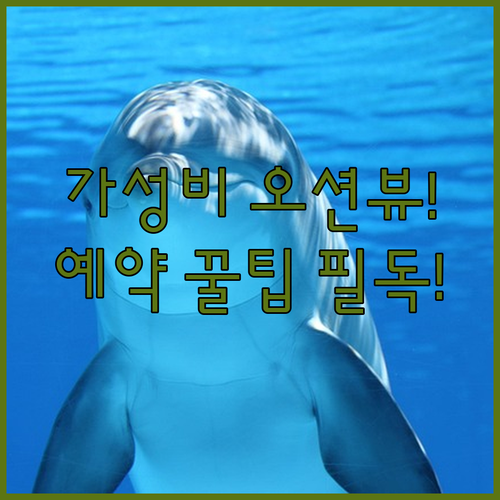 속초 가성비 오션뷰 호텔 5곳 완벽 ..