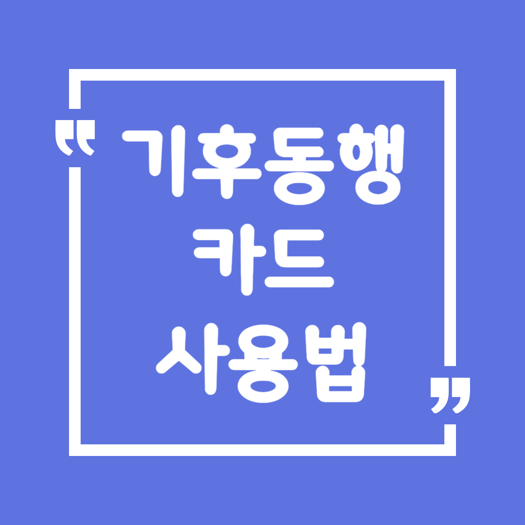 기후동행카드 사용법