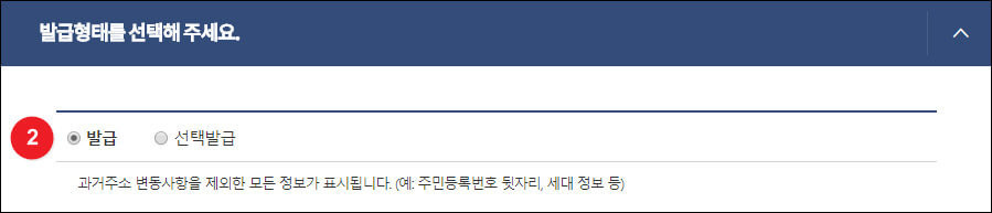 발급 형태 선택