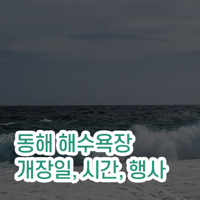 동해 해수욕장 개장일 썸네일