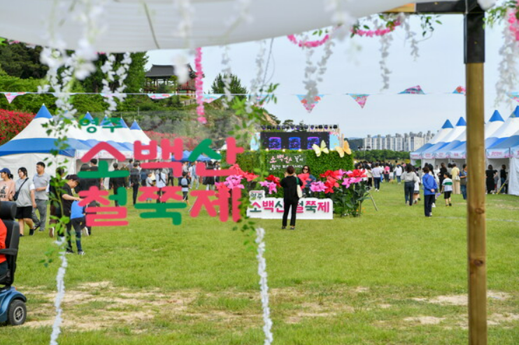 소백산철죽제