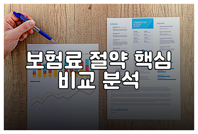 보험료 절약 핵심 비교 분석