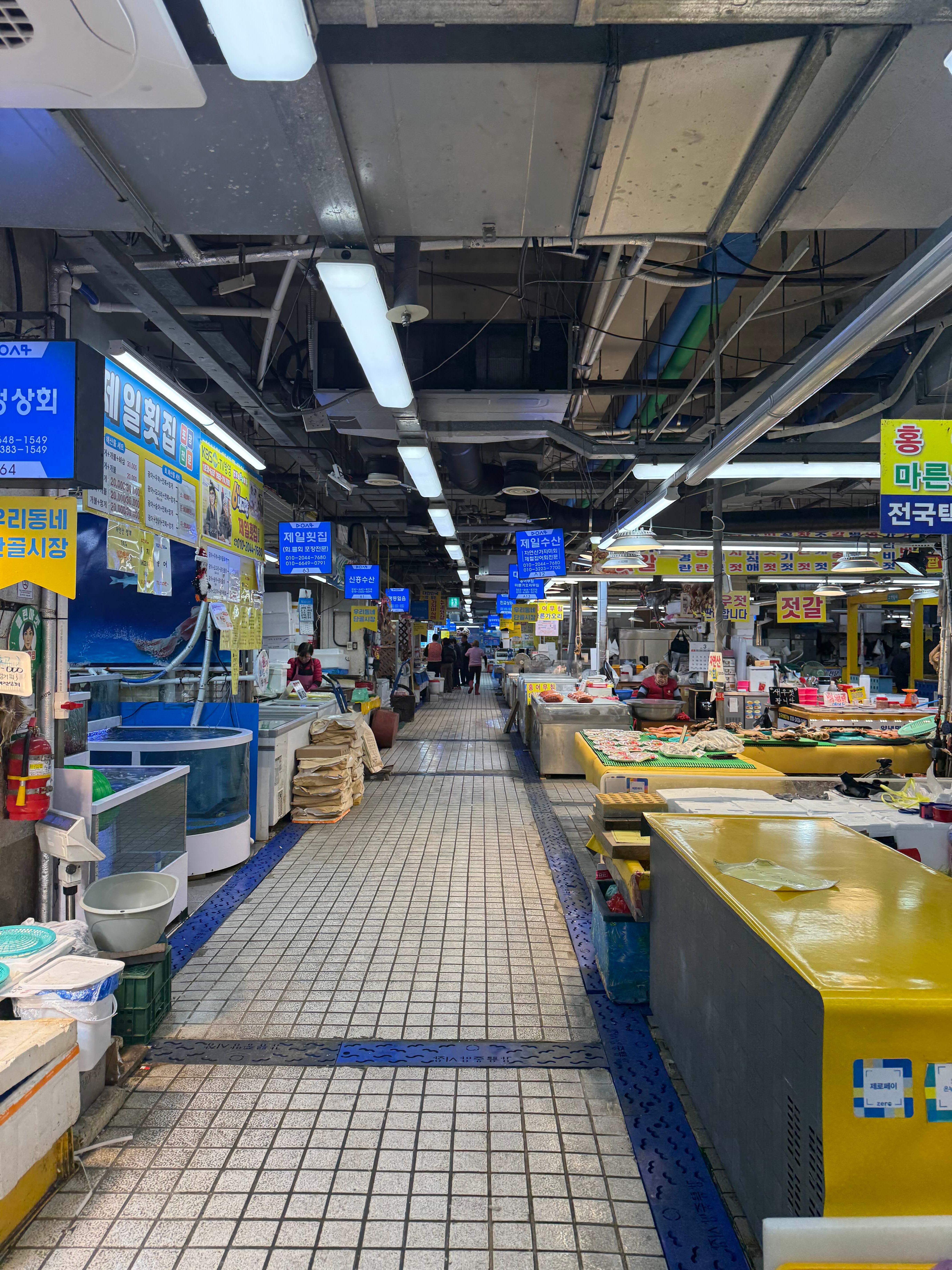 강릉중앙시장 수산물센터