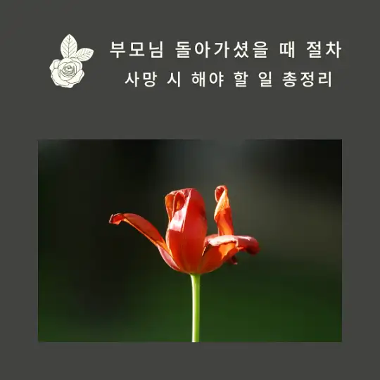 부모님 돌아가셨을 때 절차