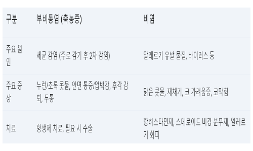 부비동염
