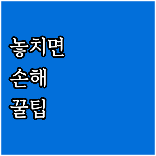 자동차 검사 과태료 60만원! 피하려..
