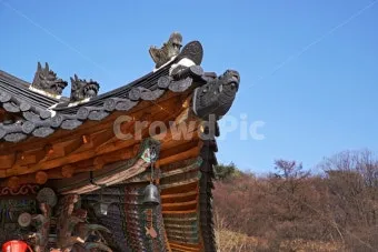 사래가 잘 걸리는 이유 사래 걸렸을때 대처법_3