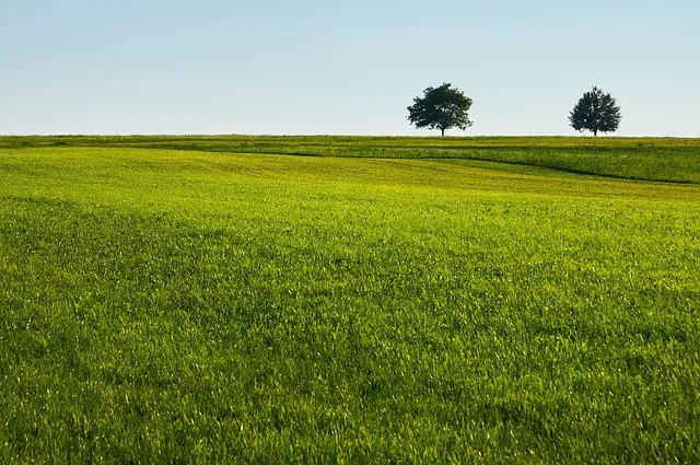 조용한 국내 1박2일 여행지 숨겨진 명소 10선_5