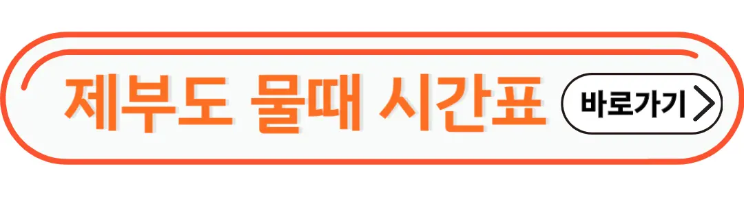 제부도 물떄 시간표