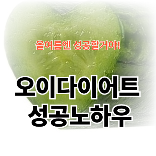 오이 다이어트 완벽 샐러드,레시피,부작용,식단