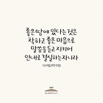 매일성경 묵상과 깨달음(누가복음 8장 1-15절) 씨 뿌리는 자의 비유 말씀_19