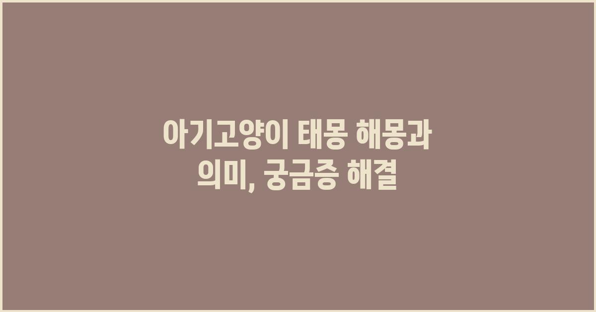아기고양이 태몽