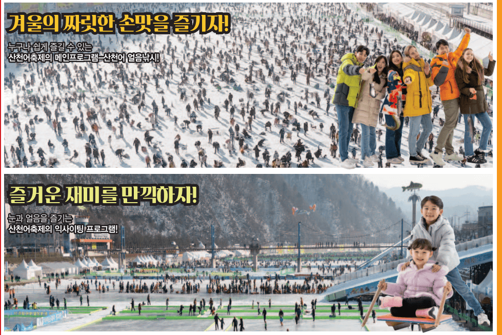 화천산천어축제예약방법과- 할인정보