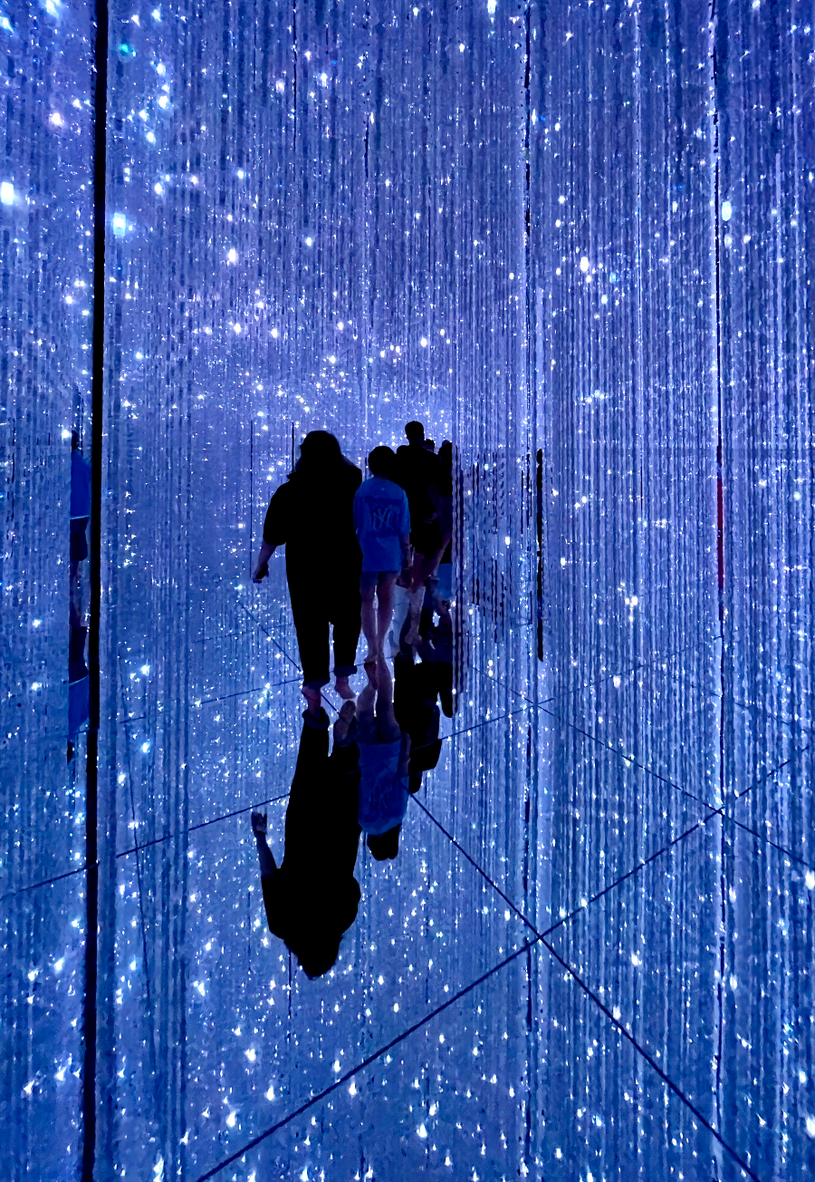 일본 도쿄 팀랩 플래닛 여행-생명은 결정화된 덧없는 빛