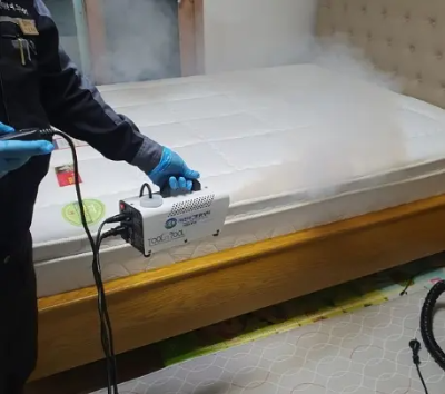 빈대 예방 및 퇴치