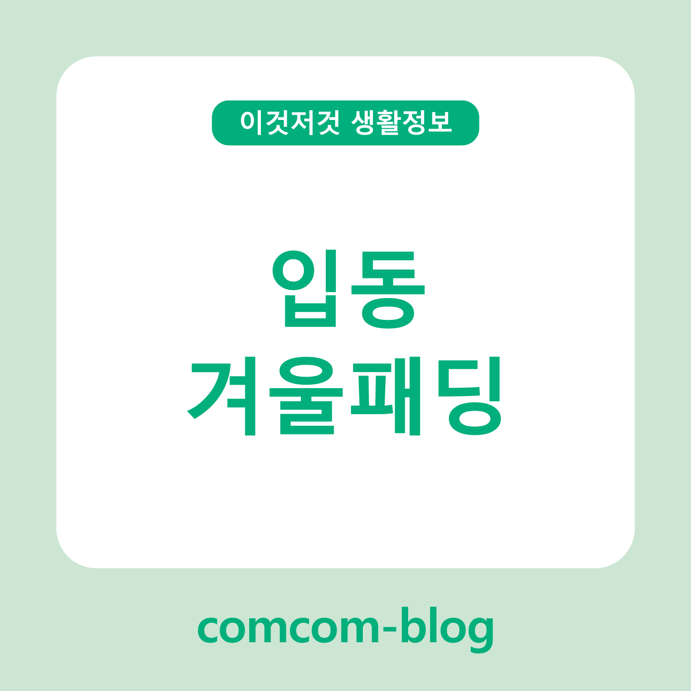 입동, 겨울의 문턱에서 패딩 준비하기 ❄️