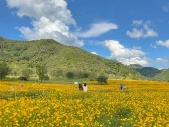 연천 가볼만한곳 베스트10 추천 명소_23