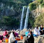 기사 포함 제주 전세버스 예약 꿀팁 &mdash; 효도관광부터 기업행사까지