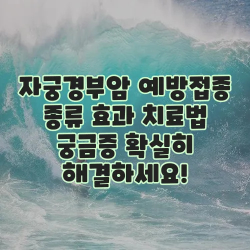자궁경부암 예방접종 종류 효과 치료법 궁금증 확실히 해결하세요!