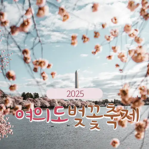 2025 여의도 벚꽃축제