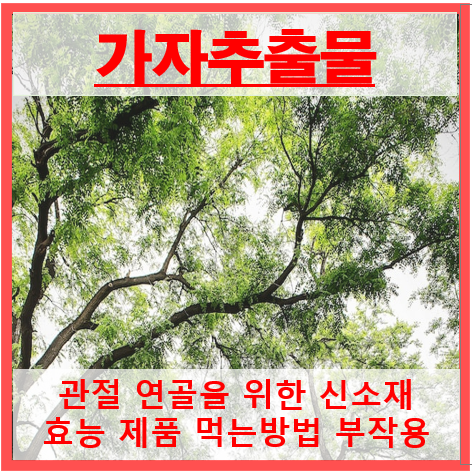 가자추출물 썸네일