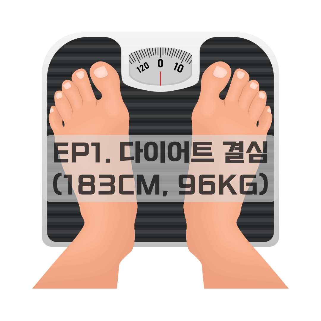 30대 남자 96kg 비만 다이어트