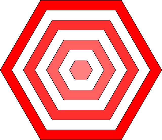 트렌드 코리아 2024에 발표한 10대 핫 키워드(3)육각형 인간