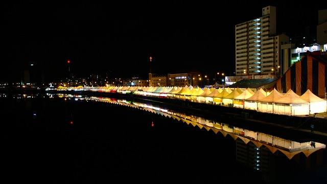 세종 단오제 기본정보, 행사 일정, 프로그램