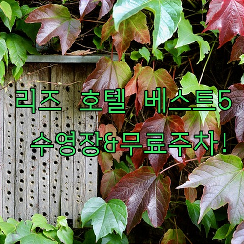 영국 리즈 자유여행 숙박 정보 수영장..