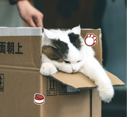 고양이-산책 