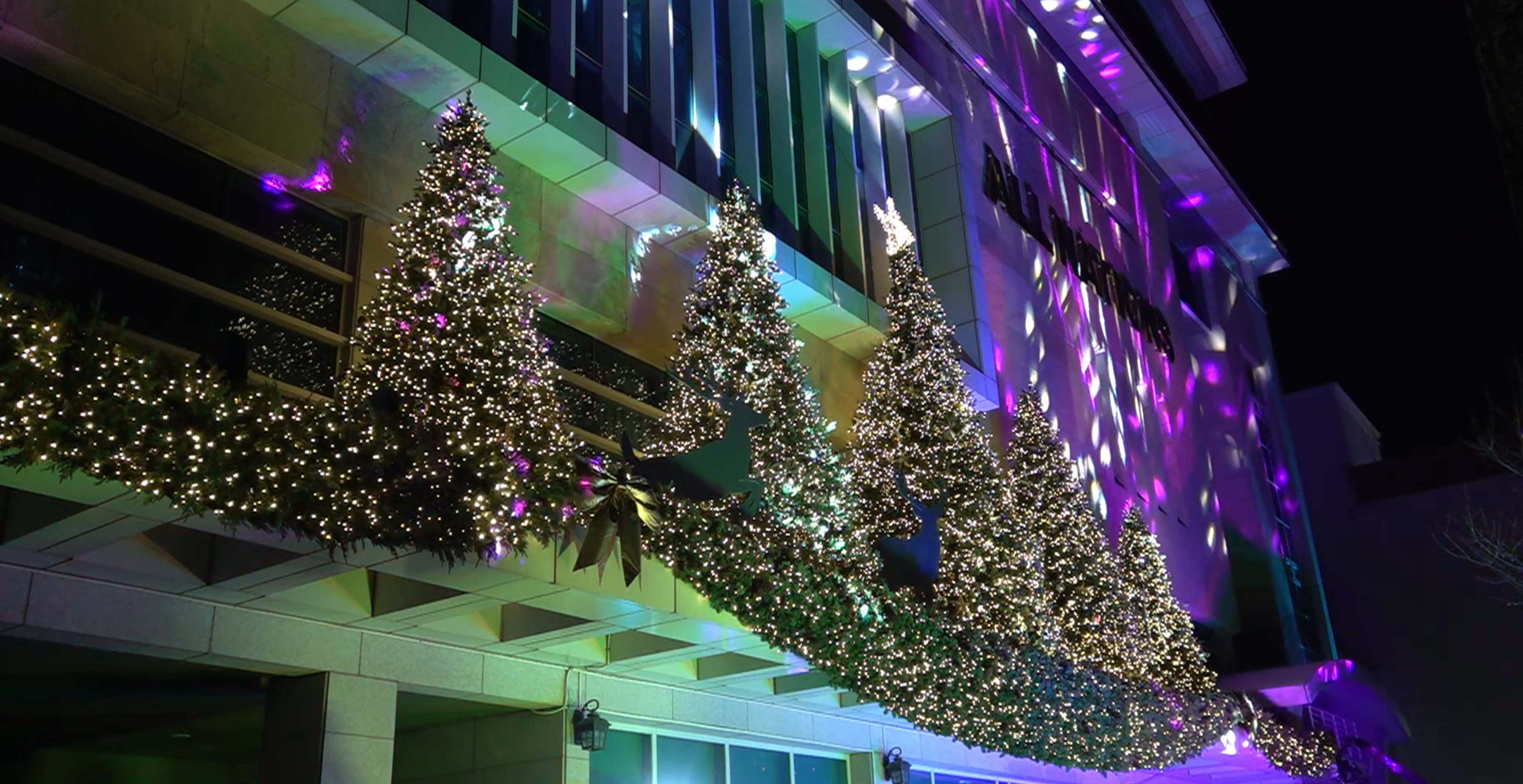 올네이션스목자의기도원-성탄점등식