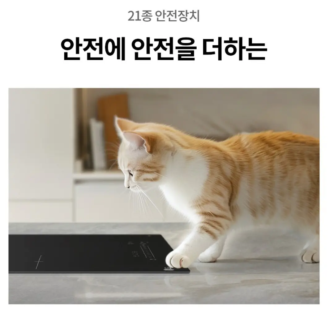 사진16