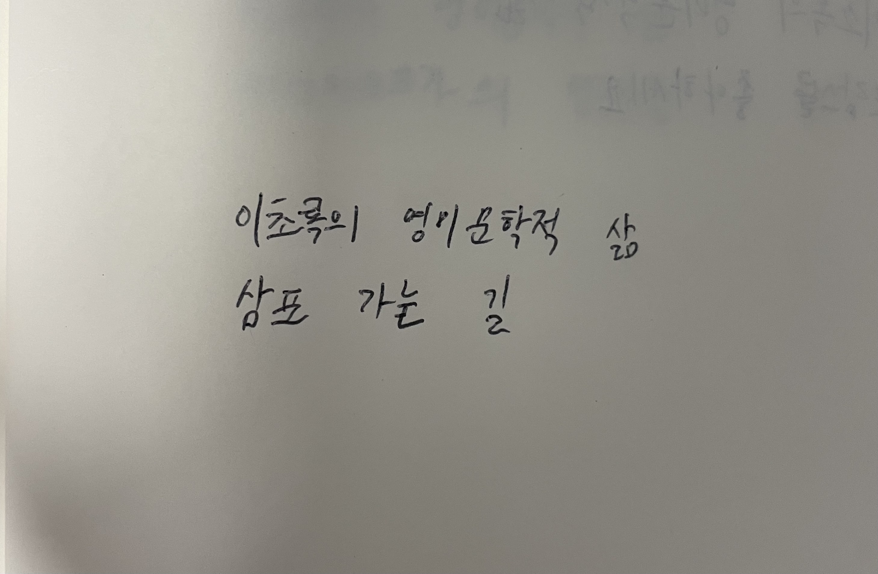 이초록의 영미문학적 삶- 삼포 가는 길 황석영 손글씨